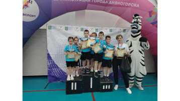 Городской спортивный фестиваль «Баскетбол». Городской спортивный фестиваль «Баскетбол».